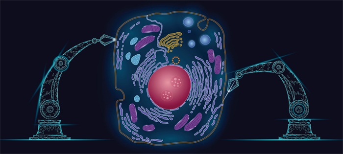 9博体育展望2021年生物制药发展的7大走势(图8)