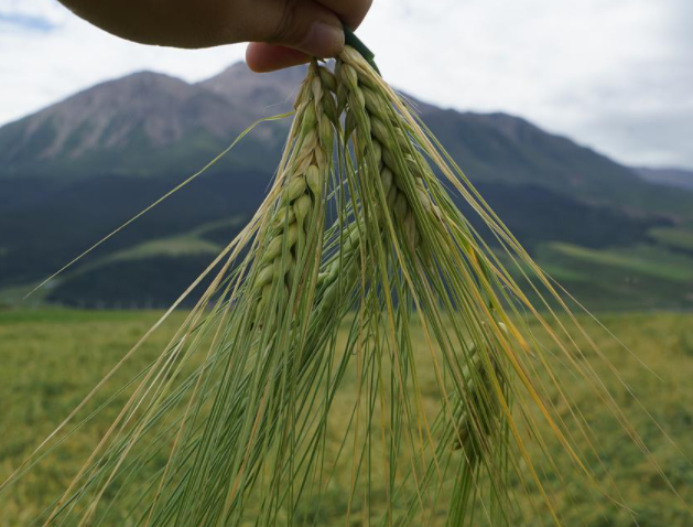 医院净化设备批发_医院净化价格相关-扬天环保咨询有限公司(图1)