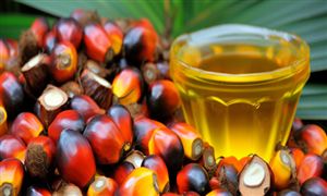 生物医药行业现状及发展前景、未来趋势分析2024年(图7)